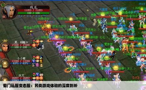 蜀门私服变态服：另类游戏体验的深度剖析