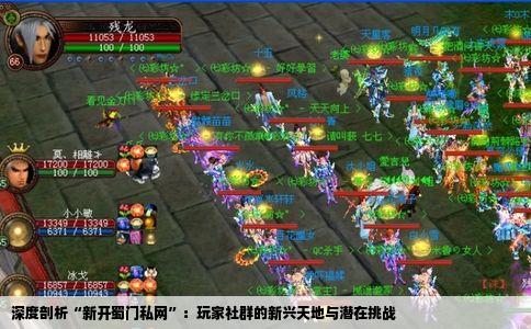 深度剖析“新开蜀门私网”：玩家社群的新兴天地与潜在挑战