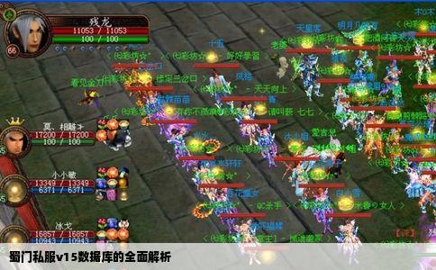 蜀门私服v15数据库的全面解析