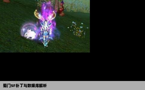 蜀门SF补丁与数据库解析